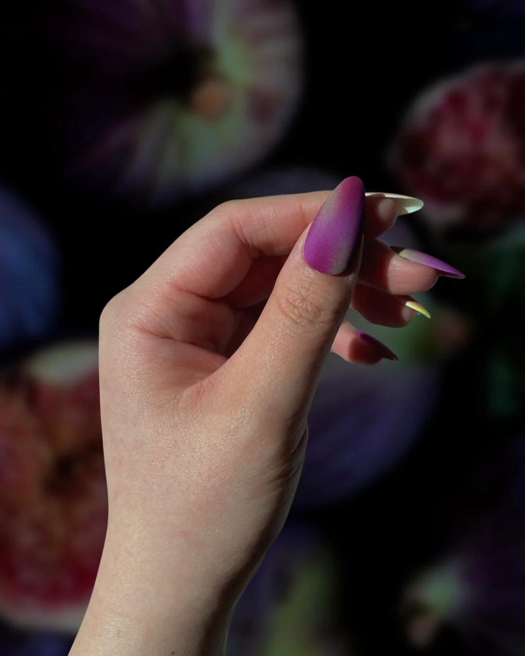 Autumn Figs - Image 2