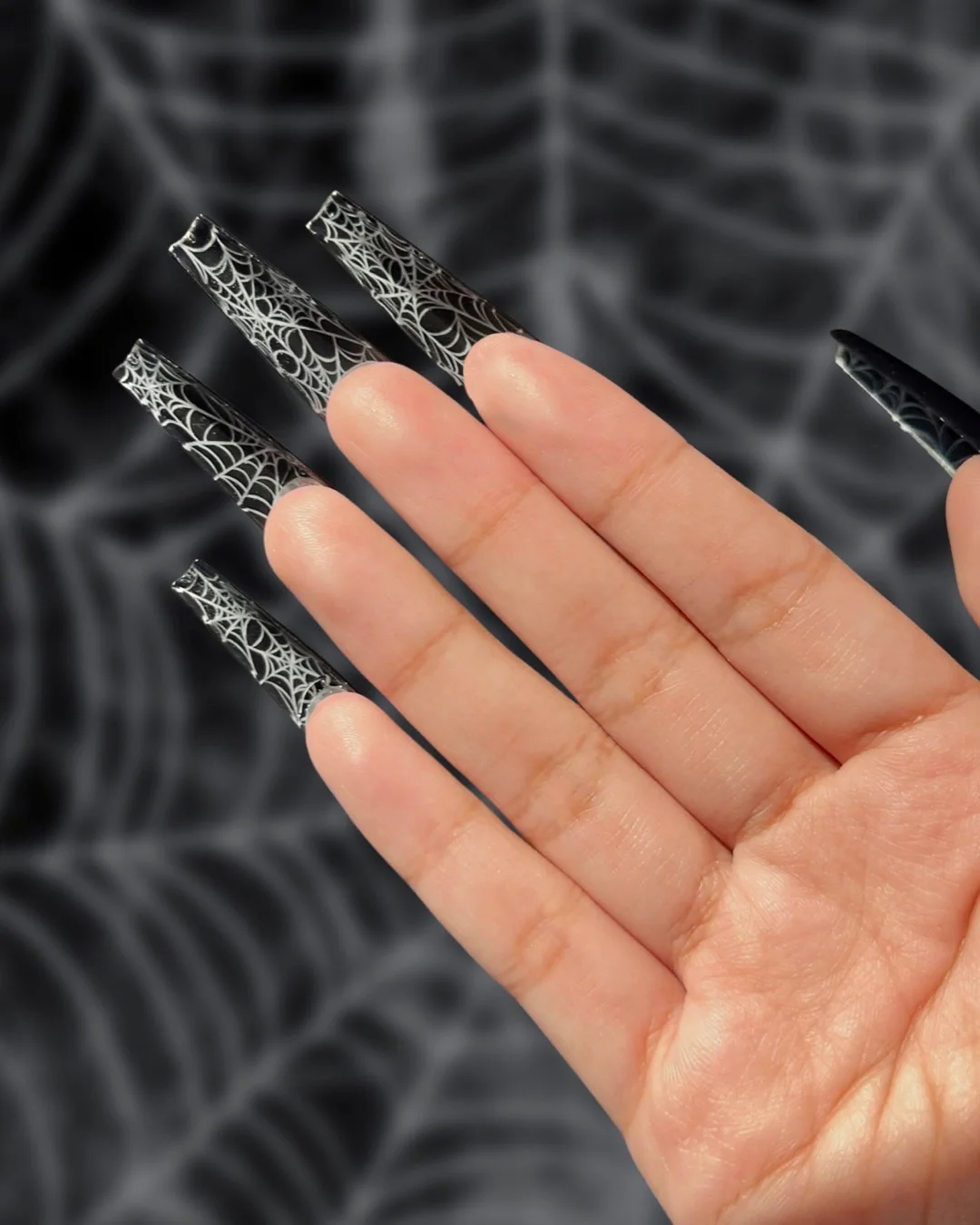 Cobweb Bottoms