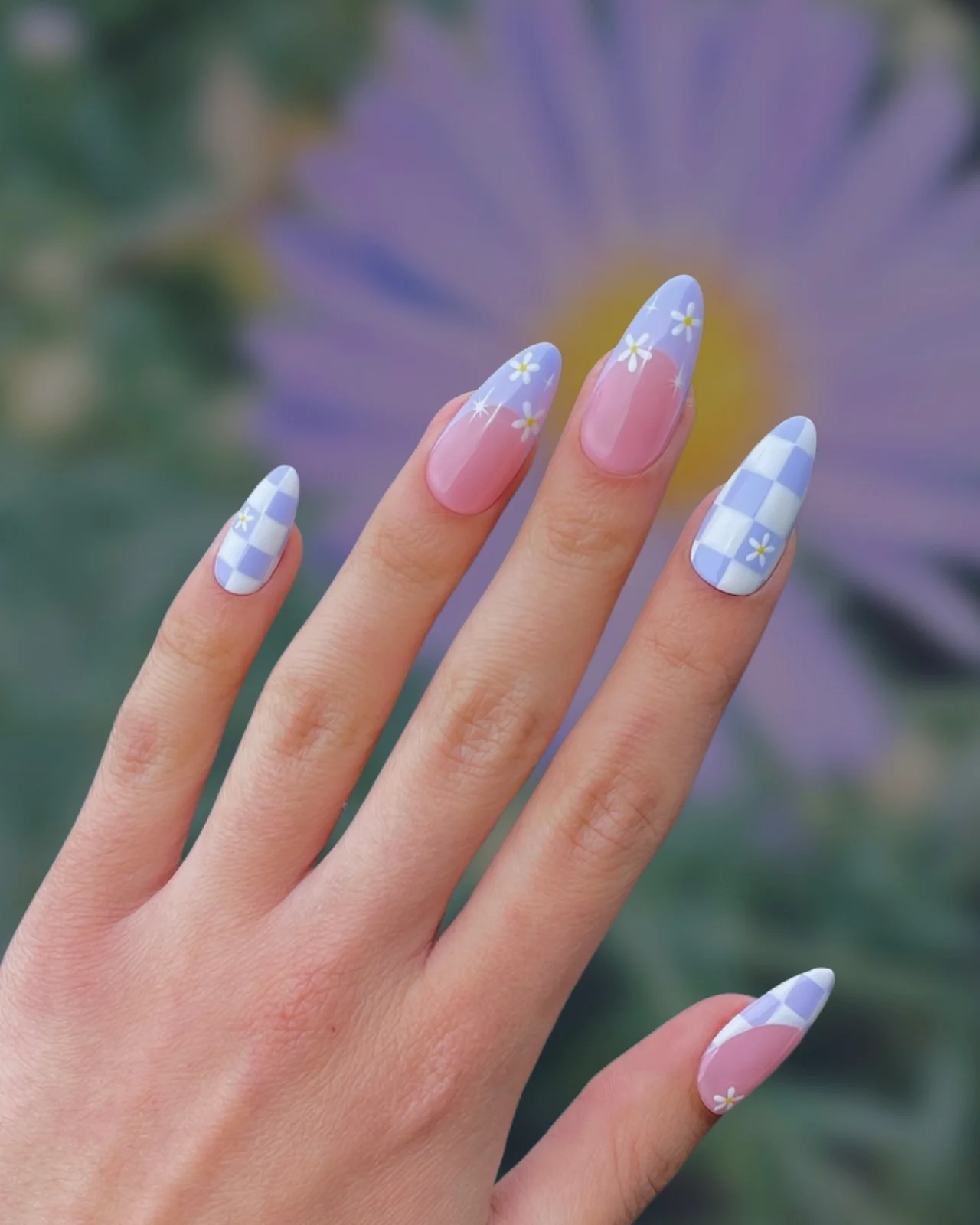 Daisy Fields - Image 2