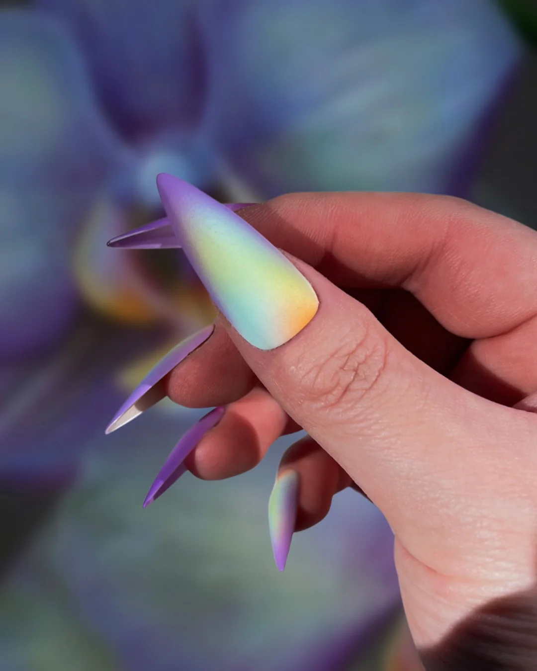 Dendrobium - Image 2