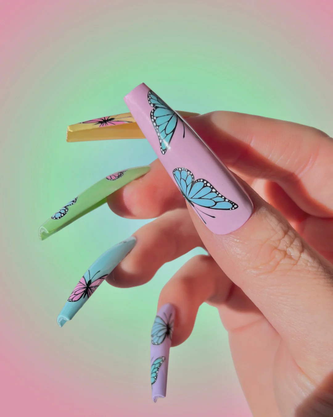 Flutter Prismatic - Image 2