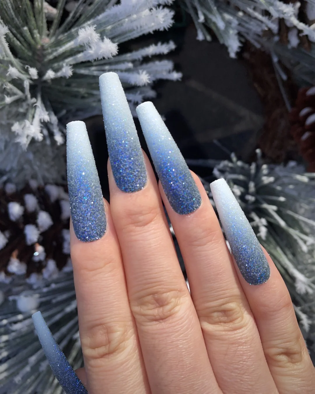 Frosted Pine - Image 2