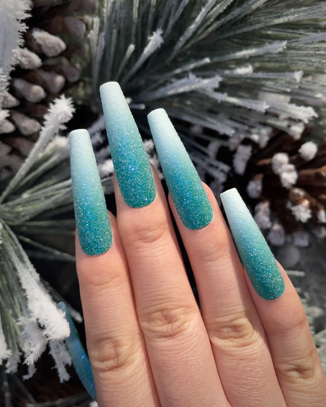Frosted Spruce - Image 2