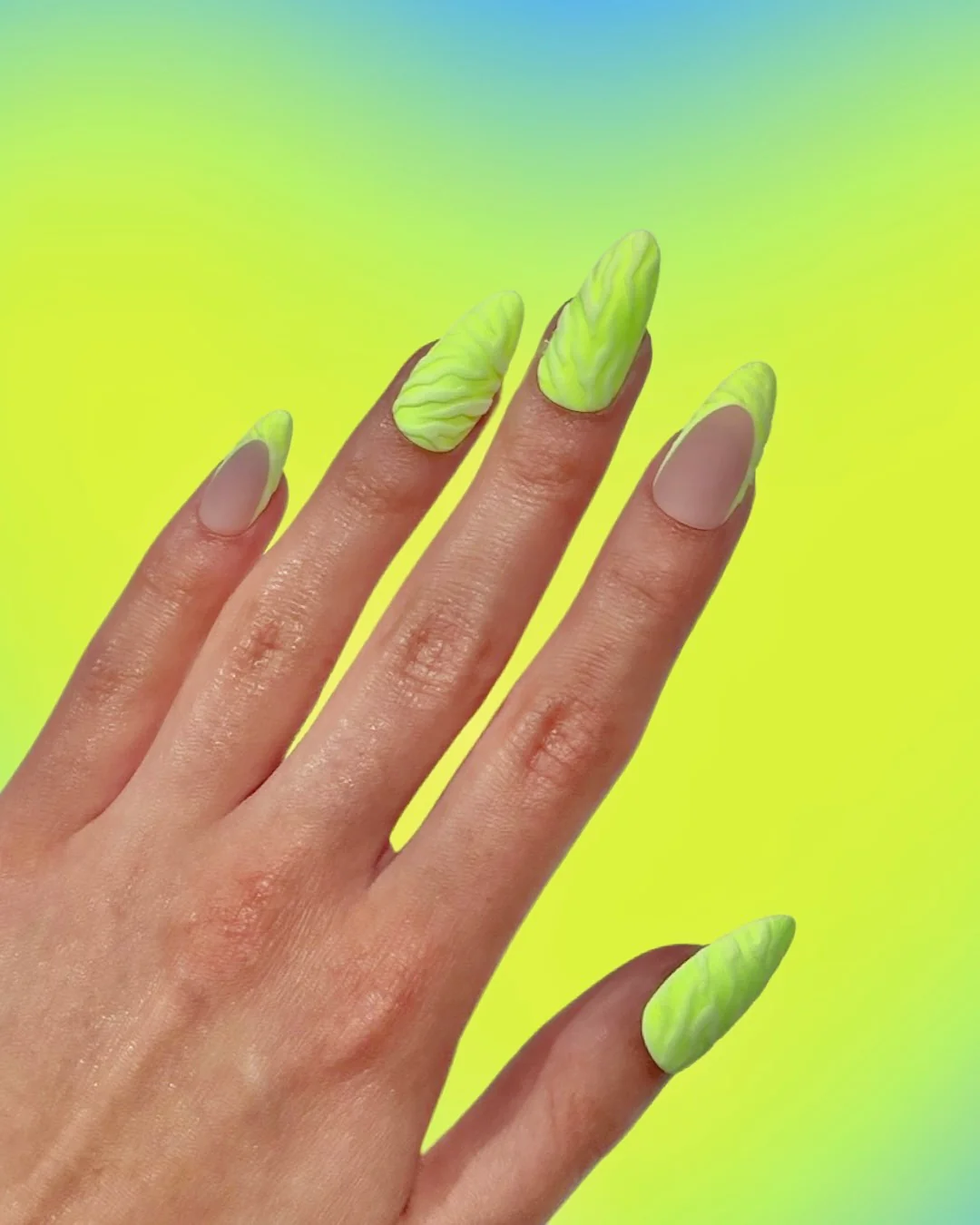 Hi-Lite Zebra - Image 2