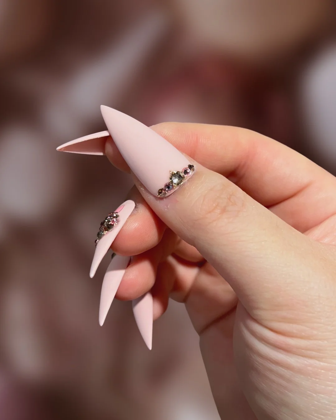 Jeweled Ornament Blush - Image 2