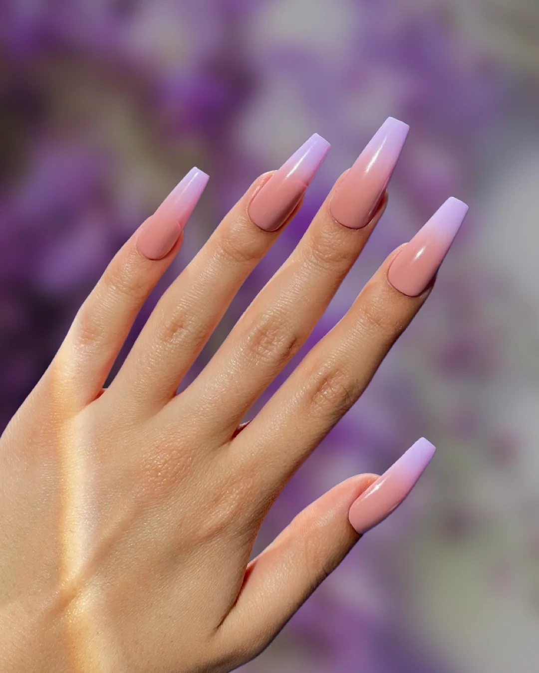 Lilac Ombre