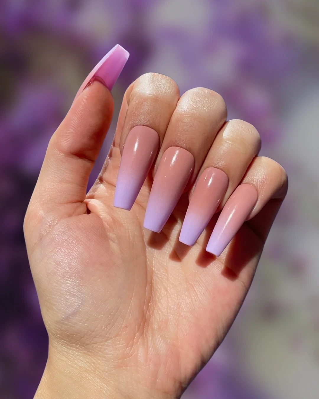 Lilac Ombre - Image 2