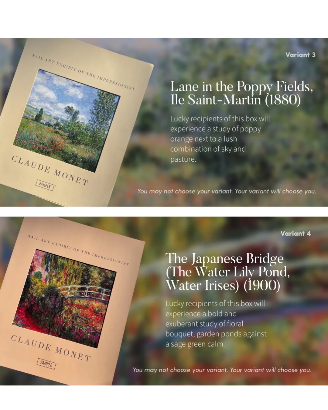 Claude Monet Mystery Box - Image 4
