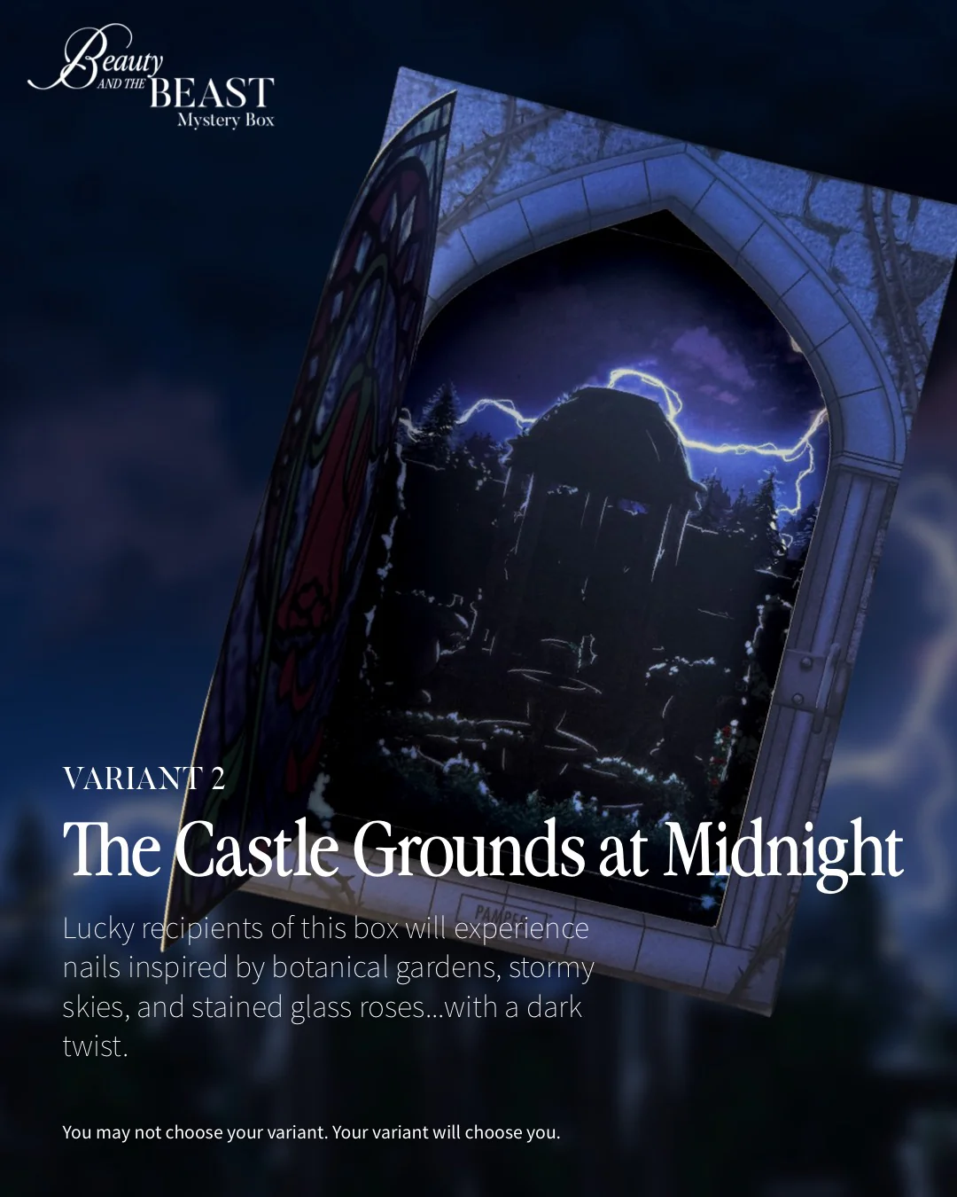 Beauty and the Beast Mystery Box - Image 5