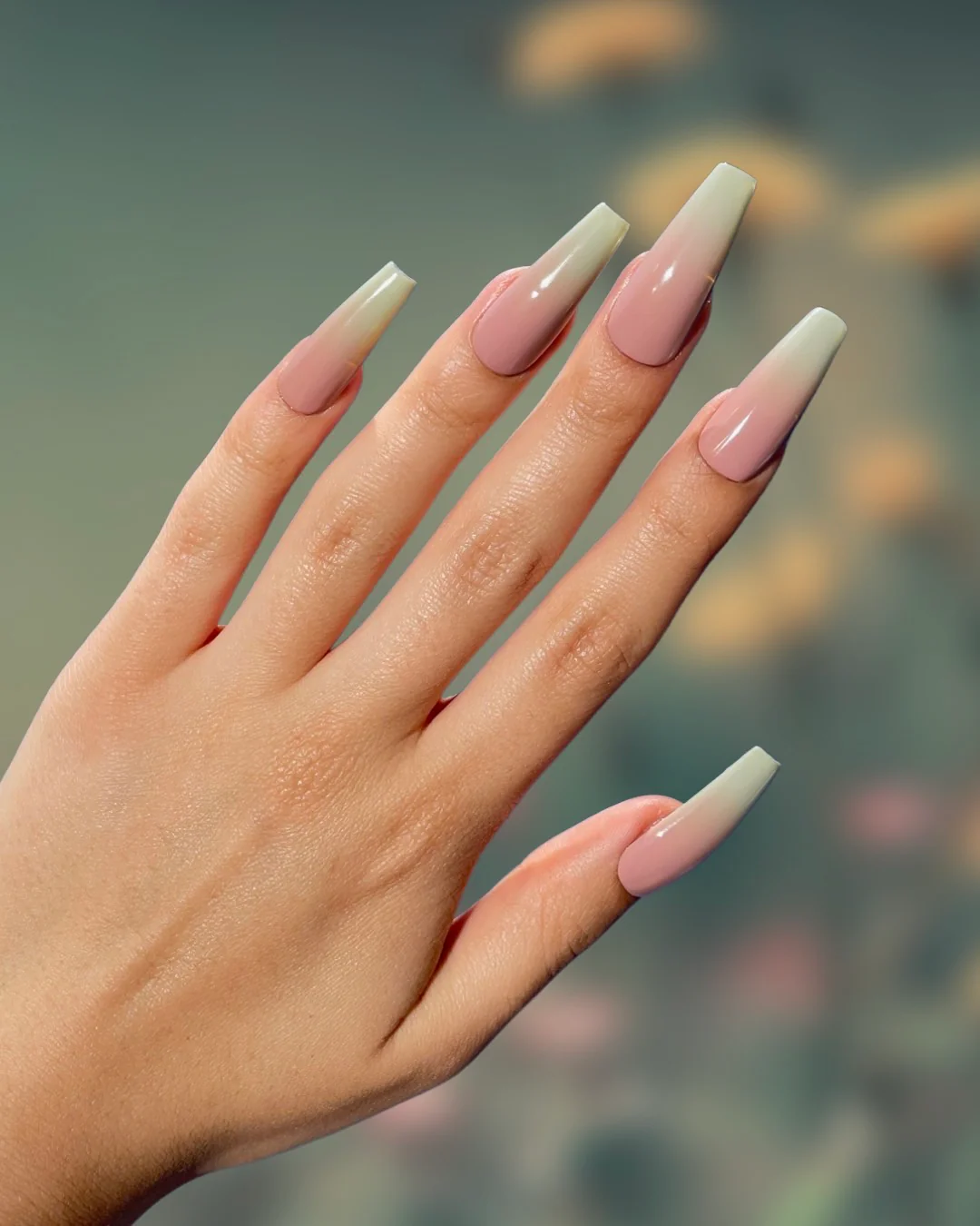 Sage Ombre