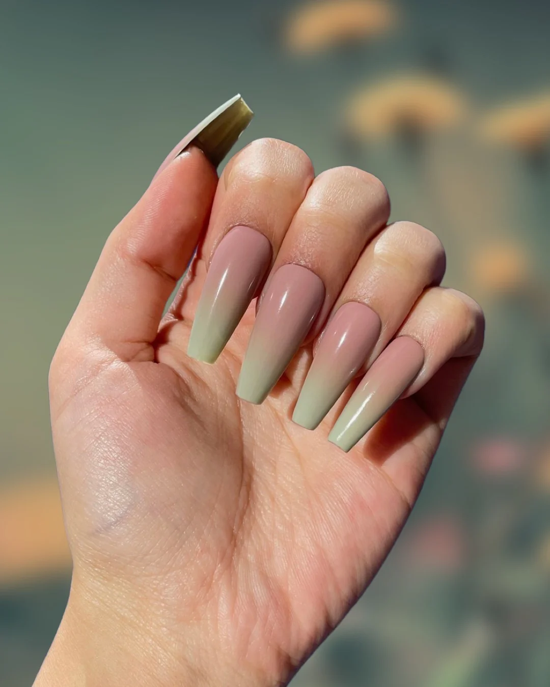 Sage Ombre - Image 2
