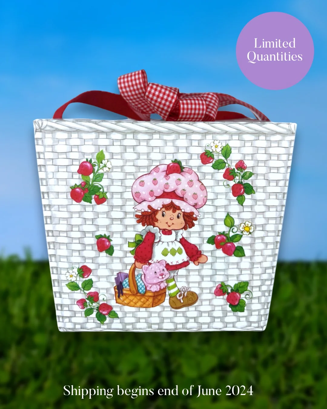 Strawberry Shortcake™ Mystery Box - Image 4