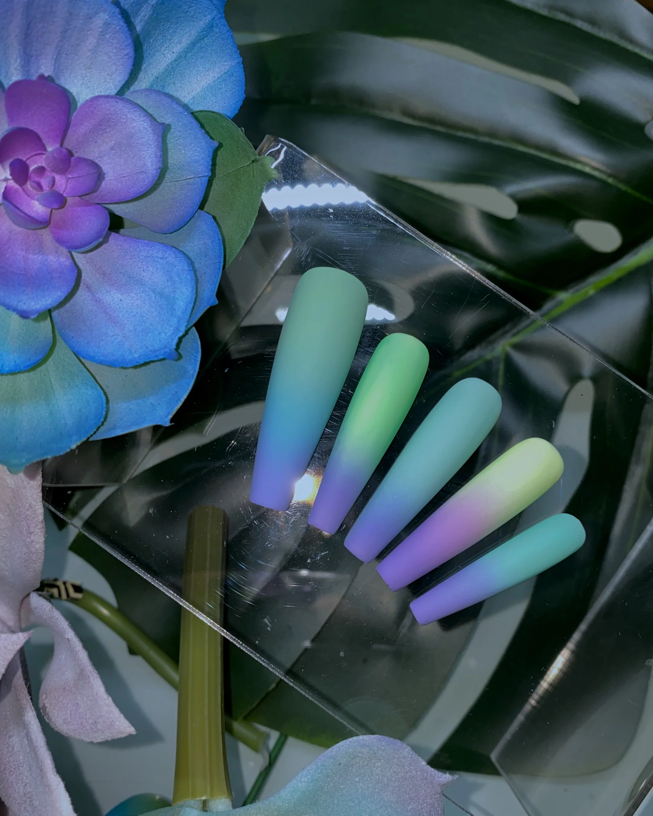 Succulent - Image 3