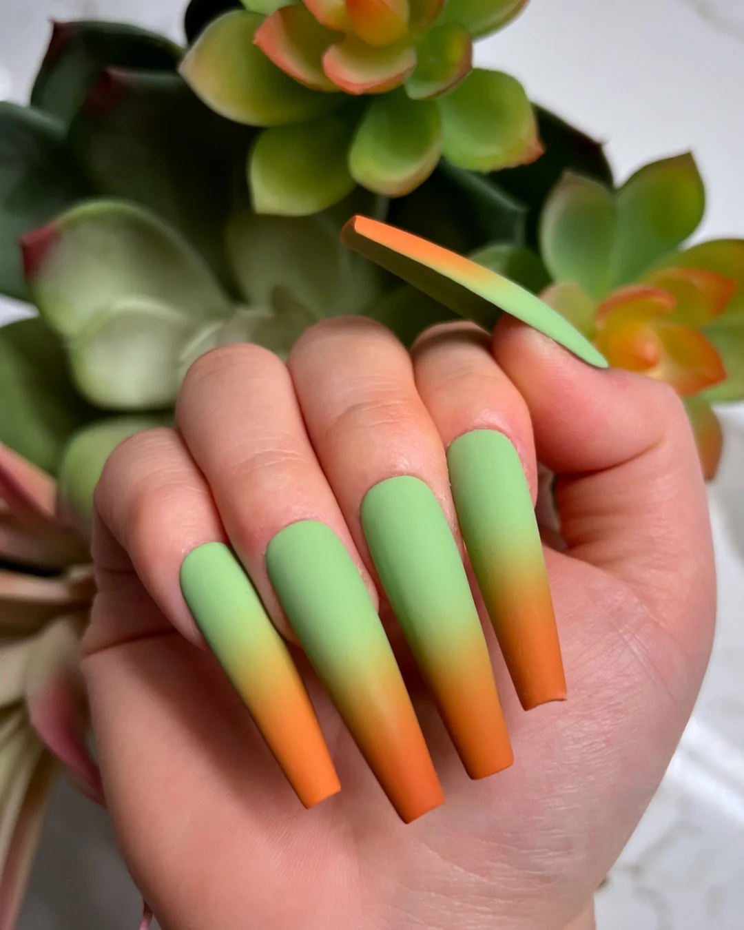 Succulent II - Image 2
