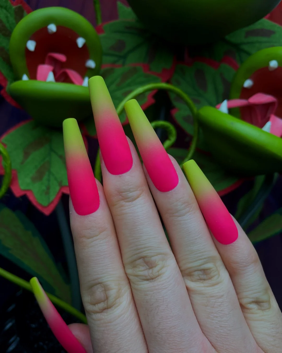 Venus Flytrap - Image 2